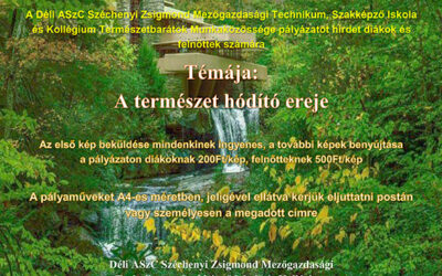 Fotópályázat