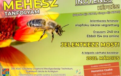 Ingyenes méhész tanfolyam!