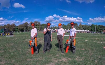 Volt egyszer egy STIHL verseny