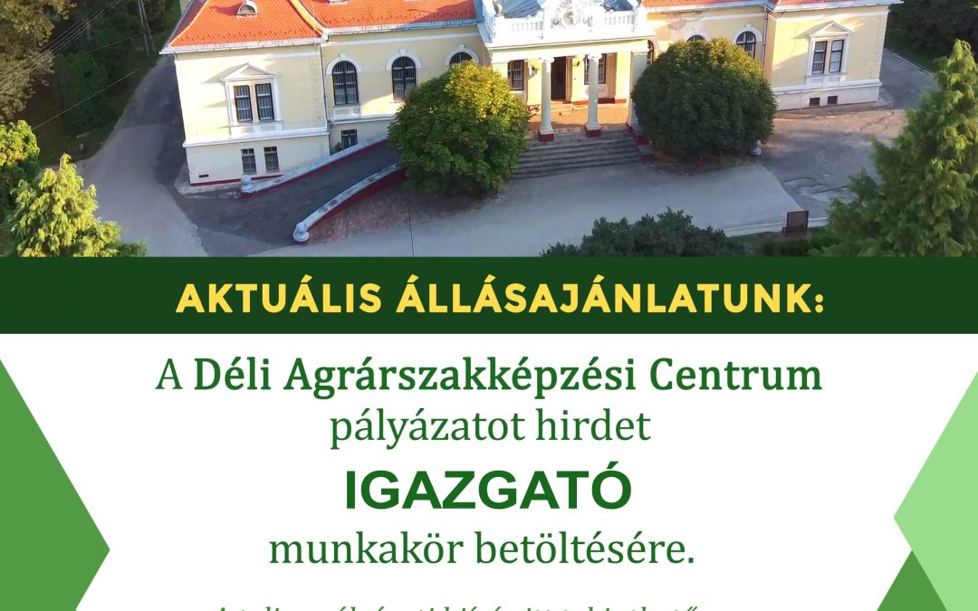 Igazgatói álláspályázat