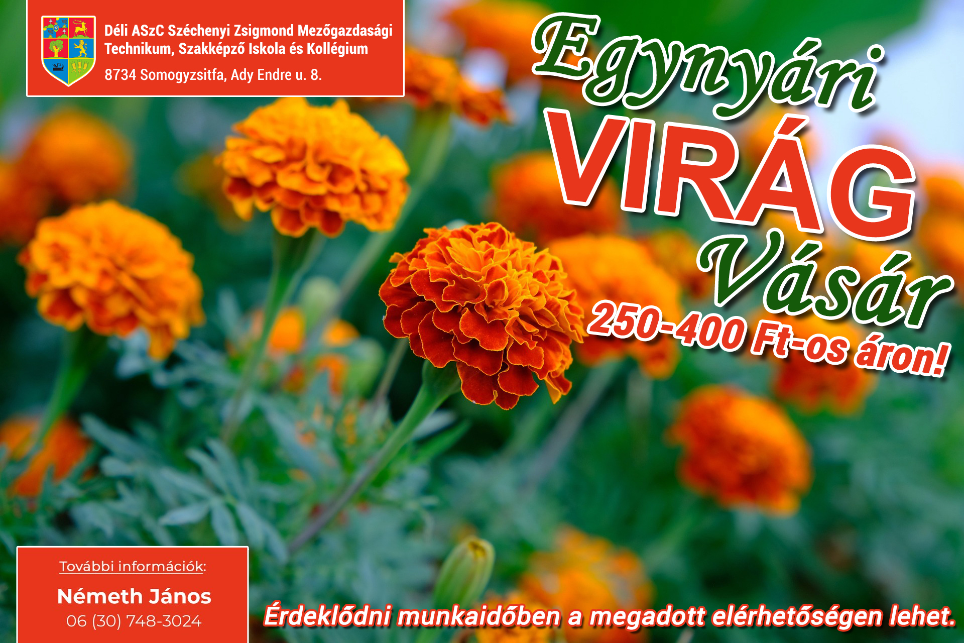 Egynyári Virág Vásár 2026